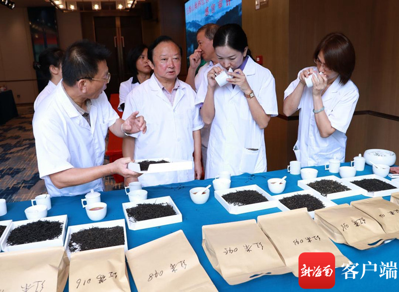 五指山市开展“五指山热带雨林大叶茶”三项团体标准技术审查