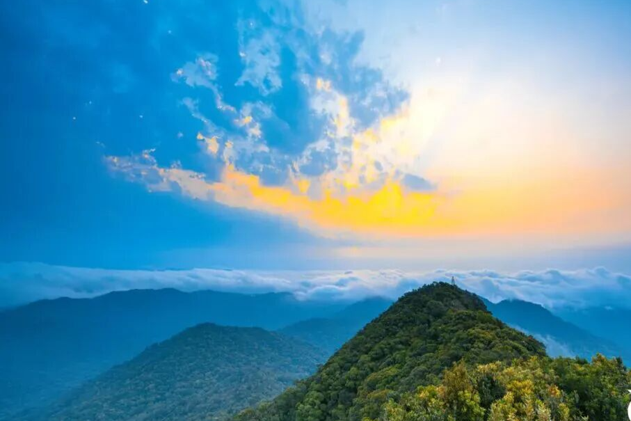 来乐东，被山海治愈，被四季挽留