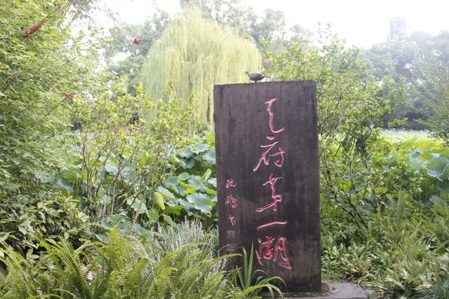 恨未早识陈子庄，且以他乡作故乡