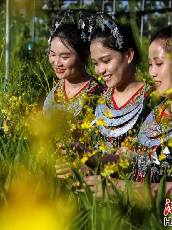 走进白沙这座小镇的“花花世界”