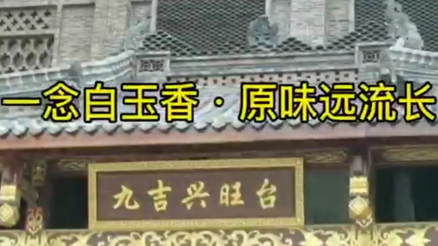 一念白玉香·原味远流长——海南省退役军人就业创业促进会对接白玉香健康产业园