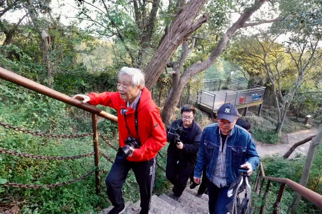 全域旅游｜跟随陈家泠，重新发现“上海之根”
