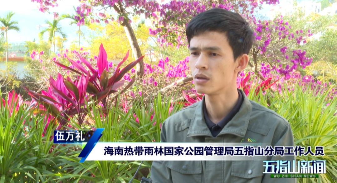 升温！“环热”公路带火五指山“雨林探秘”自然观光游