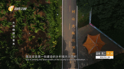打卡“乡”味十足的水塔咖啡，捕捉海南乡村的浪漫！