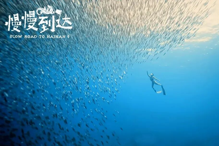 纪录片《慢慢到达》全网热播，邀您共赴环岛山海之旅