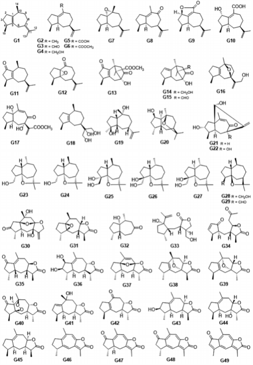 【连载】2024中国沉香产业发展报告第二章第二节 | 沉香的化学成分研究（4）
