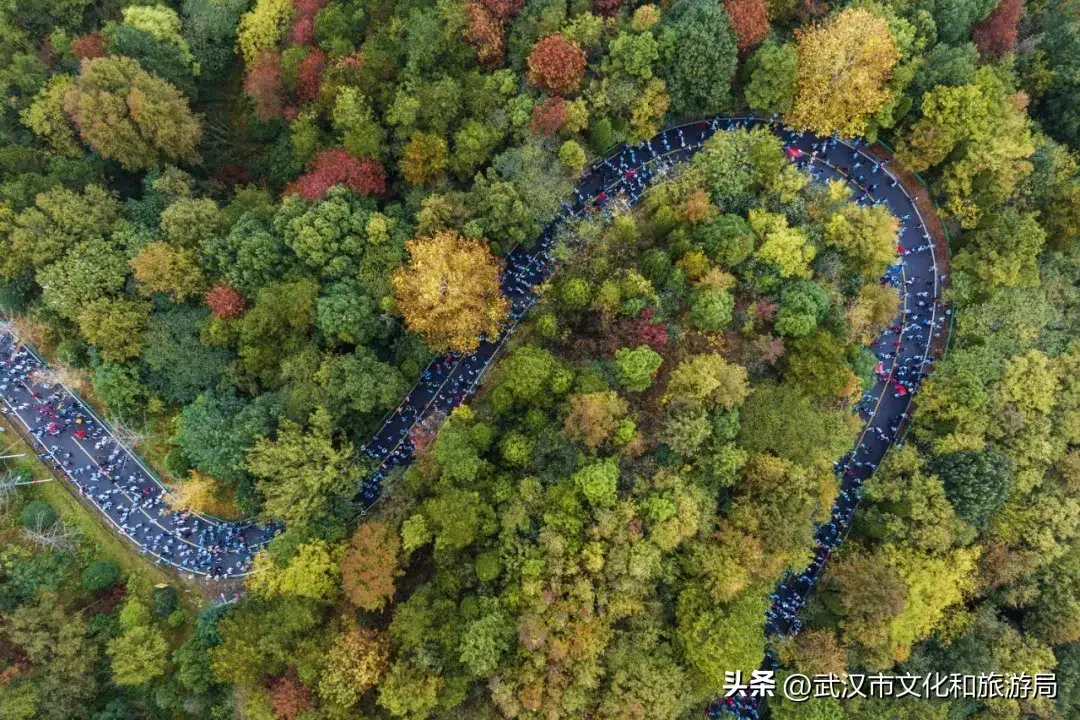 万人共赏木兰胜景，2024第十三届木兰山登山节圆满举行