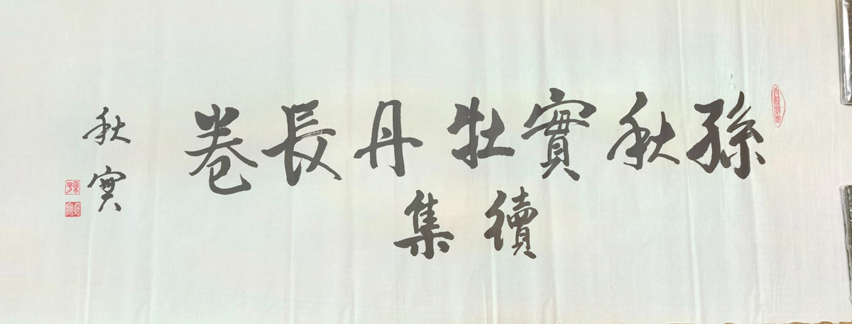 画作赏析丨墨染芳华，笔绽国色——孙秋实先生牡丹长卷赏析
