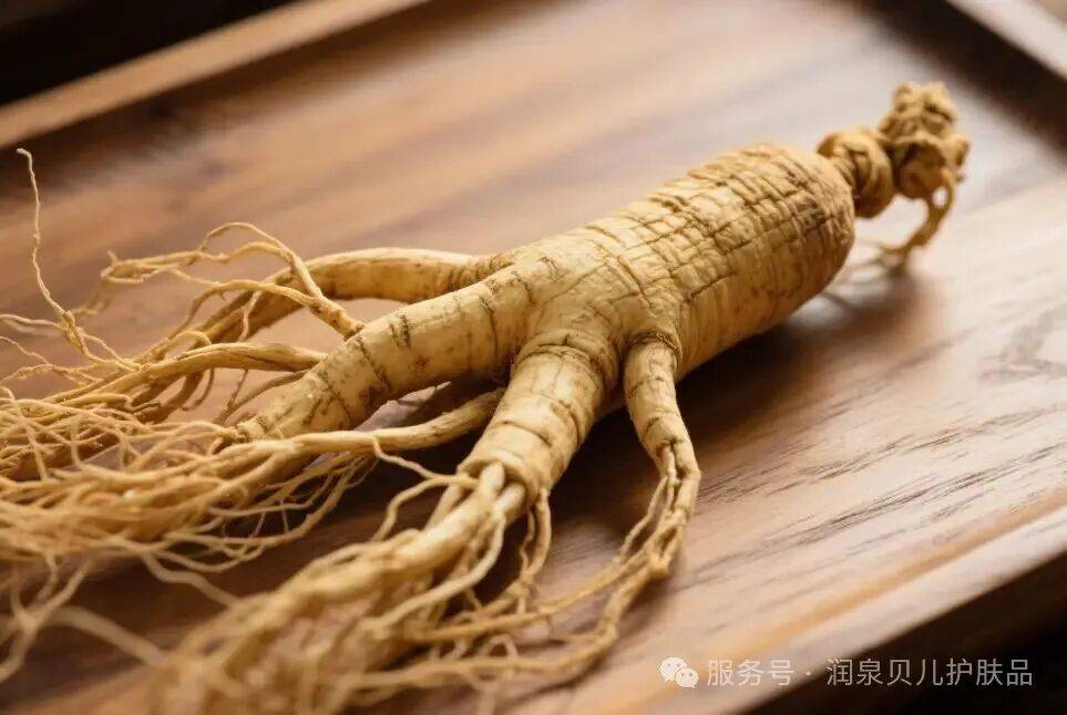 润泉贝儿人参驻颜霜 守护肌肤新“参”态