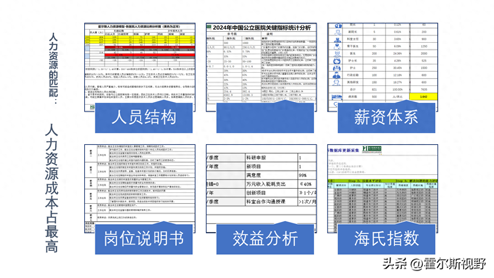 医院人力资源结构优化与绩效管理：推动医疗机构高效运营的关键