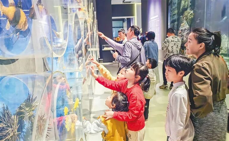 海南博物馆事业蓬勃发展，迎接博博会首次跨海而来