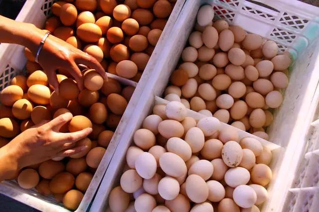 价格不“蛋”定!鸡蛋批发价1个月涨20%,还会继续涨吗?