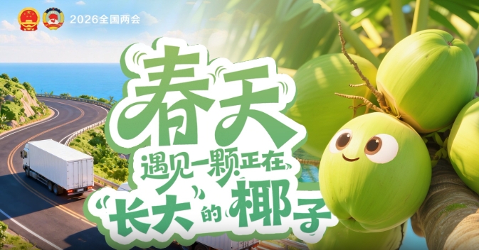春天，遇见一颗正在“长大”的椰子