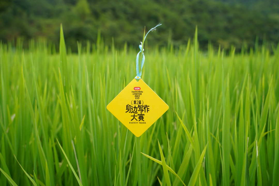 秋天，无数个胡安焉在小红书醒来