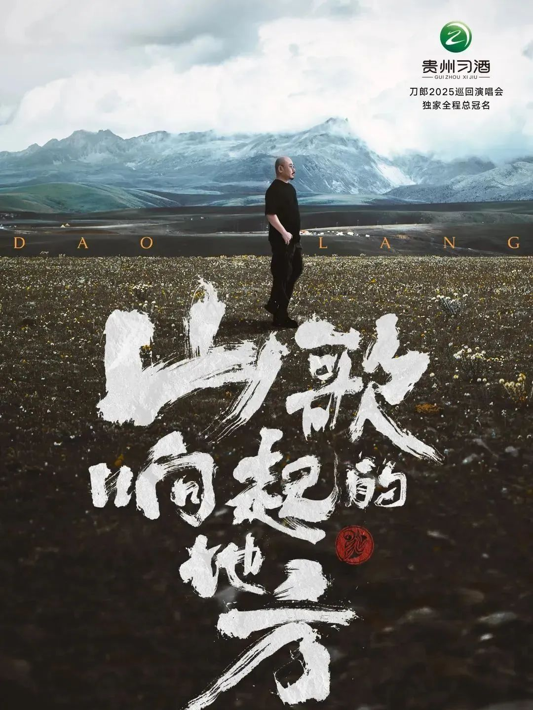 他的巡回演唱会，官宣海口！