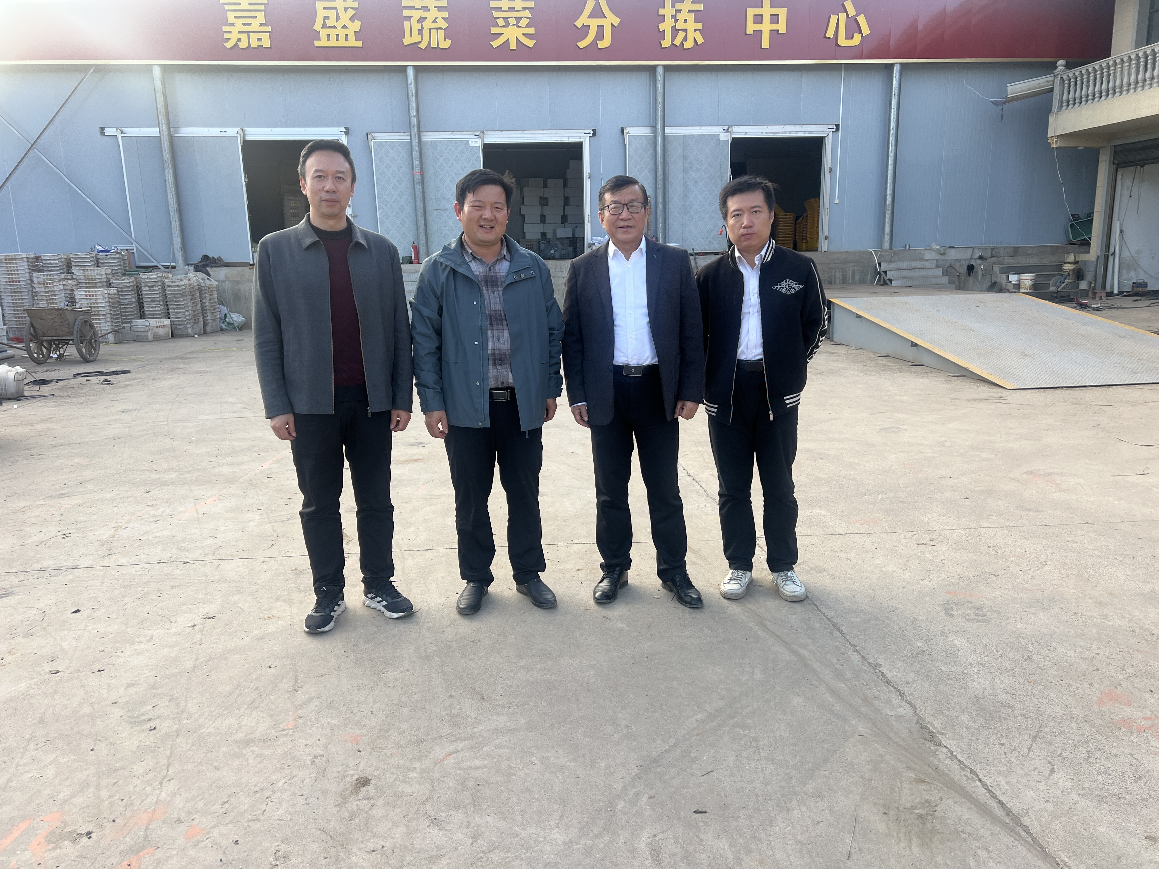 世界长寿之乡的冬日珍馈:安乡驿马头迟菜苔