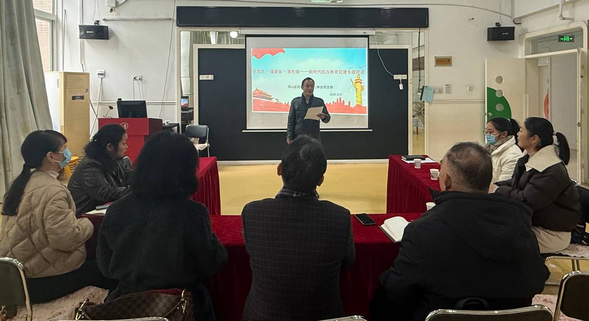 党建引领明方向 学习全会促发展洪山区民办教育行业党委组织学习四中全会精神专题活动