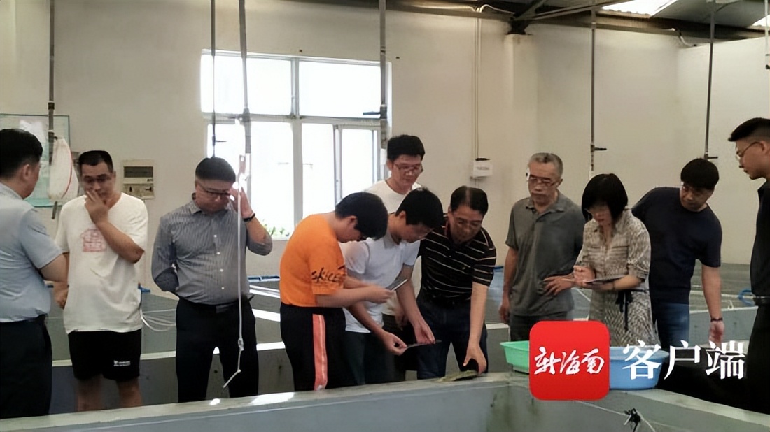 海鱼鱼苗可淡水养殖！海南银鼓鱼繁育研究获新突破