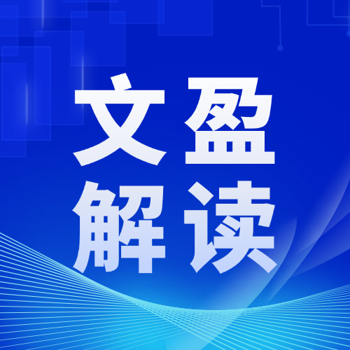 新公司法，公司监事取消了