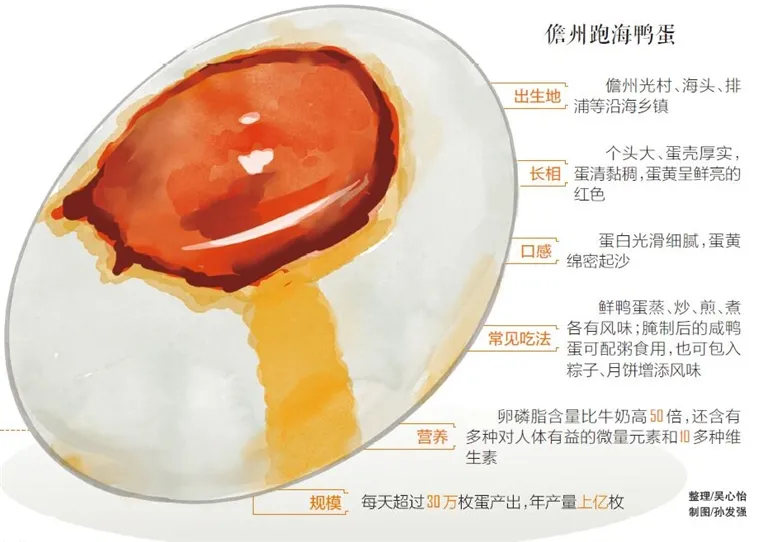 儋州这些鸭吃的是“海鲜”，产的蛋“富”得流油......