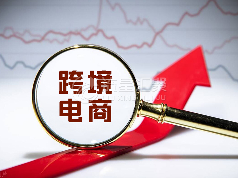 武汉流星汇聚：聚焦加拿大蓝海市场，助力卖家开拓跨境电商版图