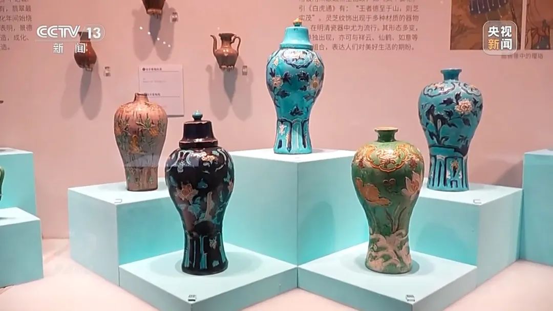 带你探秘“深蓝宝藏”！《焦点访谈》关注南海西北陆坡一二号沉船考古成果特展