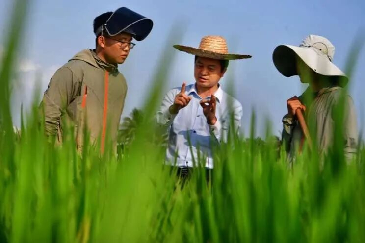 《光明日报》连发两篇文章关注海南