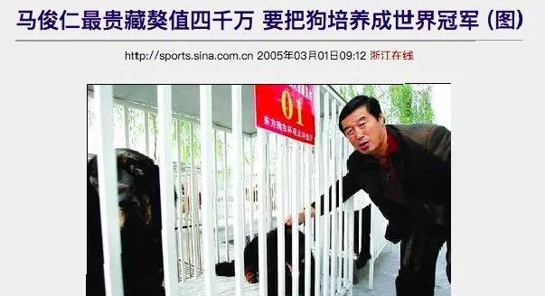 哭泣的藏獒:3000万一头的“神兽”,如今沦为火锅食材