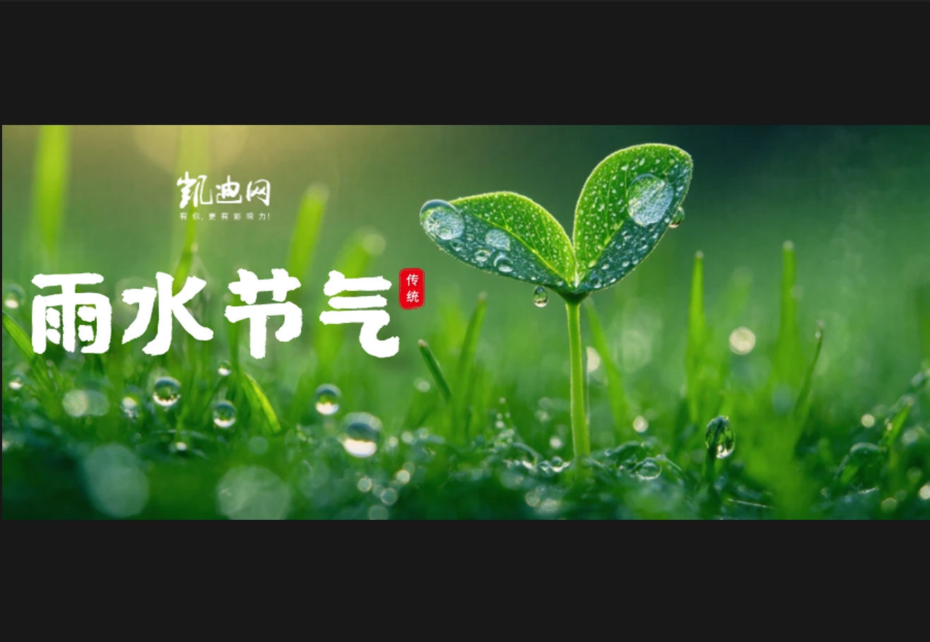 今日雨水丨润泽万物，春意渐浓