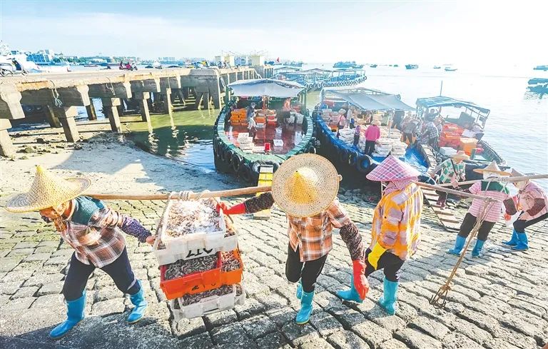 世代耕海牧渔，看海南渔民的“做海”生活→