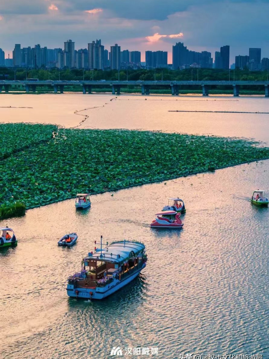 新玩法！武汉墨水湖龙阳湖开通游船夜游