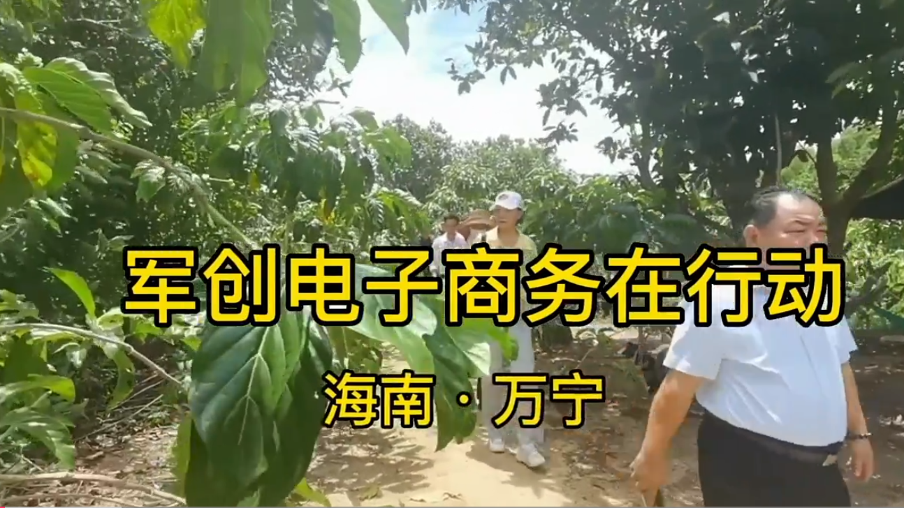 【军创电子商务系列活动】促进会·凯迪云商会/促进会万宁分会