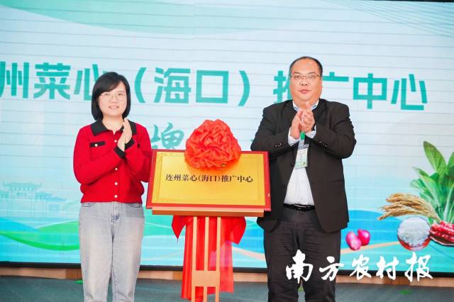 连州菜心(海口)推广中心正式揭牌。 连州菜心(海口)推广中心正式揭牌。