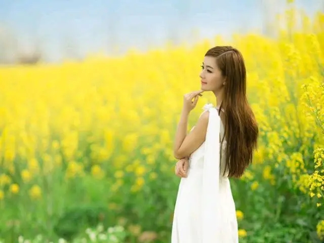 https://cdn.9kd.com/kdnet/50f534f3facc41a69be866c44684cc2a.jpg