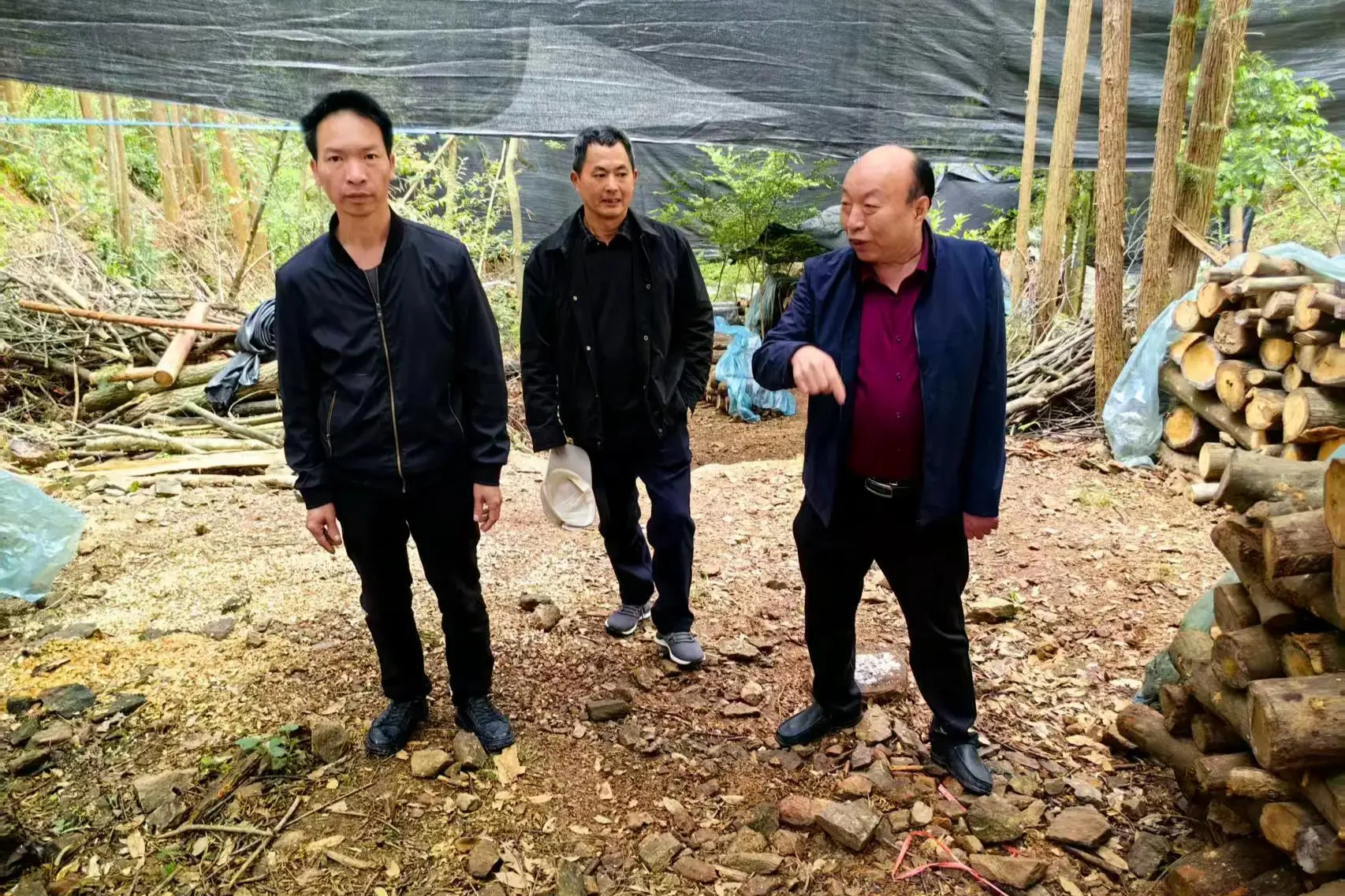 ​蘑菇大王丁伦保在江西省鄱阳县莲花山乡胡彩云家庭农场指导