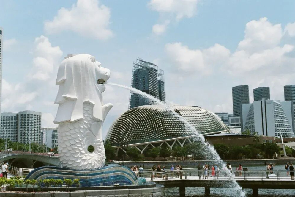 孙燕姿停工鸡娃：新加坡孩子变少，但教育为何越来越卷？