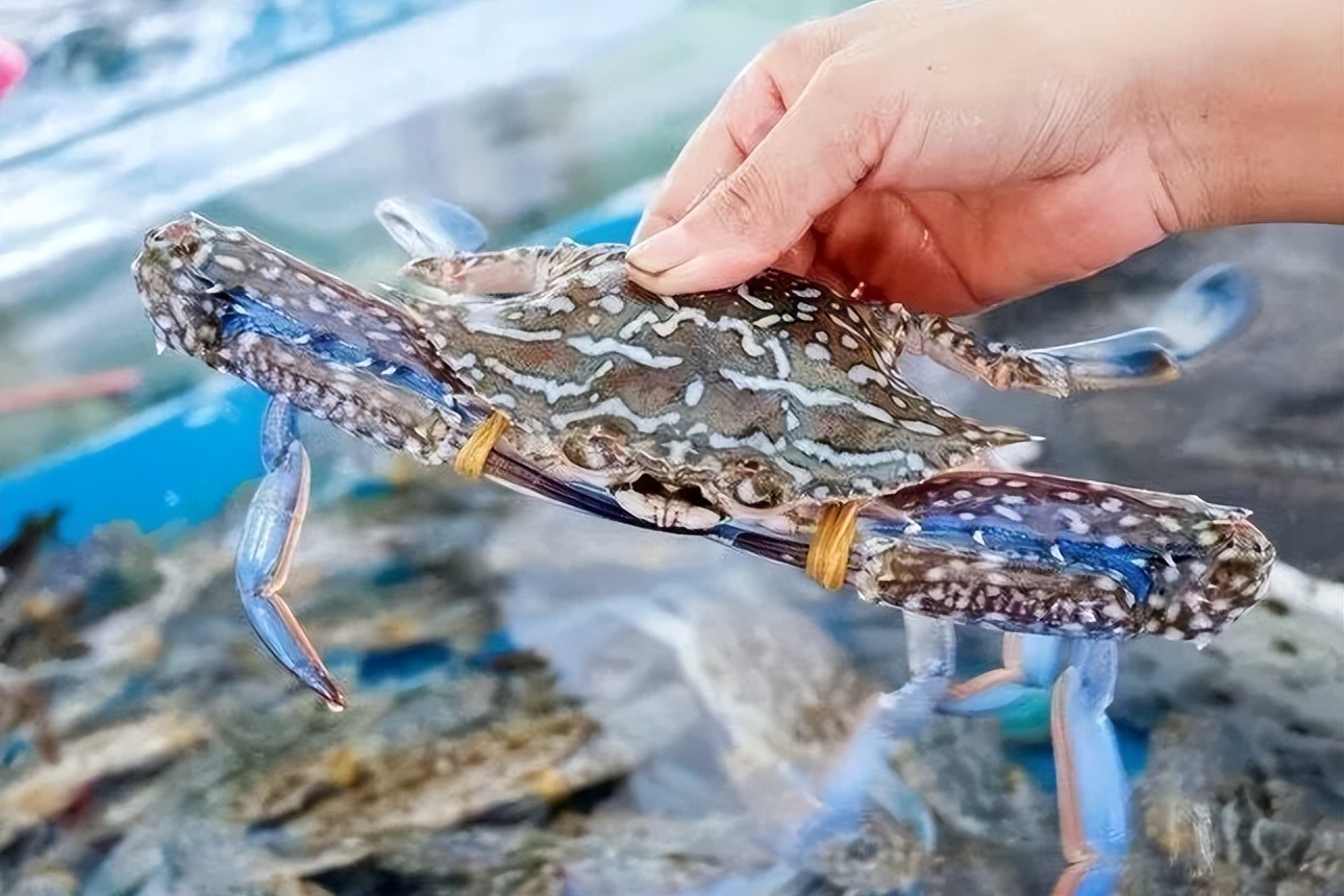 吹海风，享暖阳！这份海口冬游指南请查收
