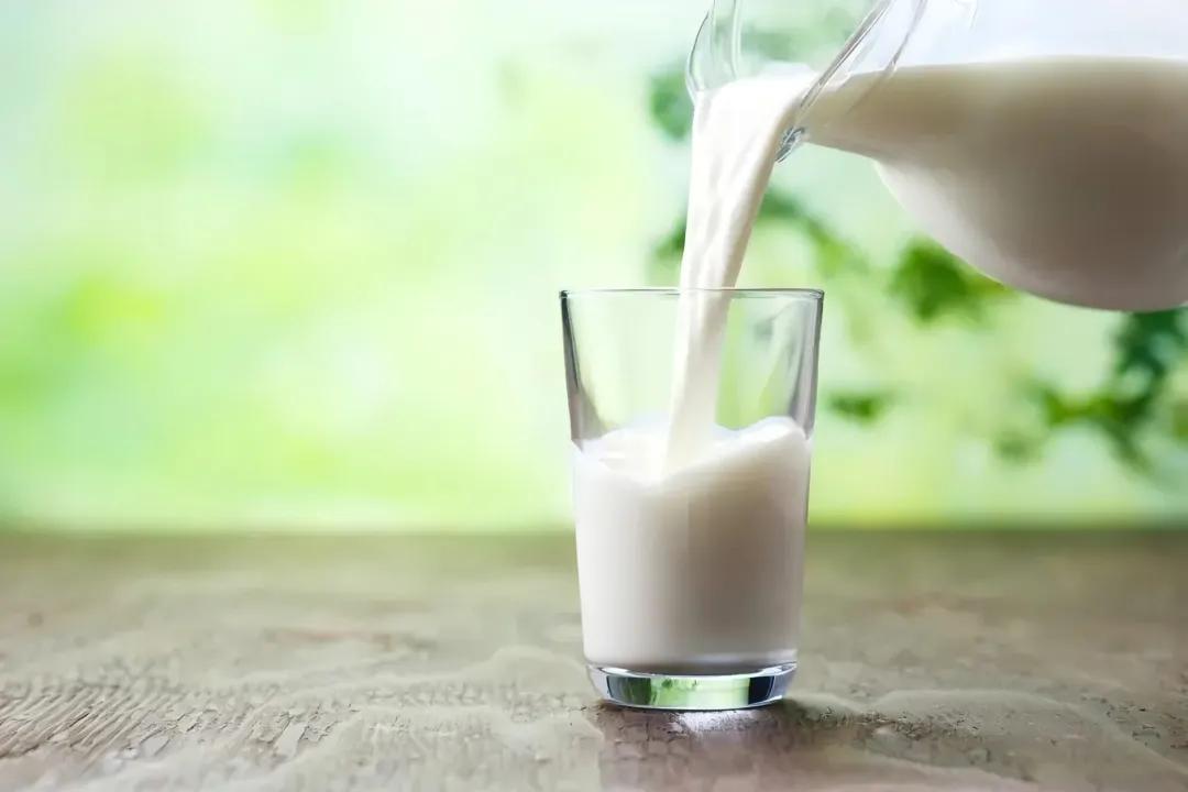 驼奶具有牛羊乳营养价值之外的营养成分！圣驼源驼奶粉