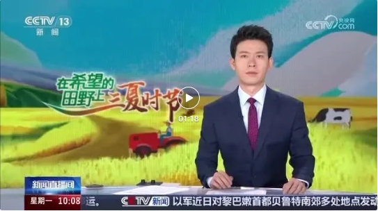 三登央视！实“荔”飘香→