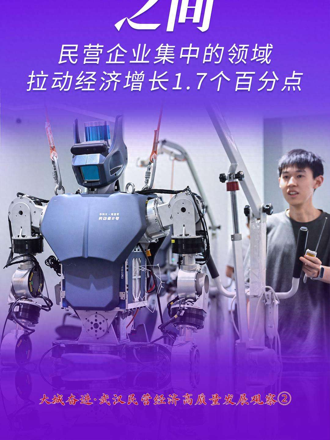 武汉“小巨人”，近八成是民企！