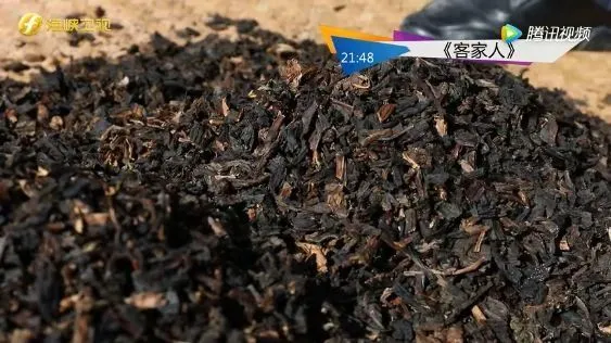 这座三省交接处的无名小城,成为了小吃王国!