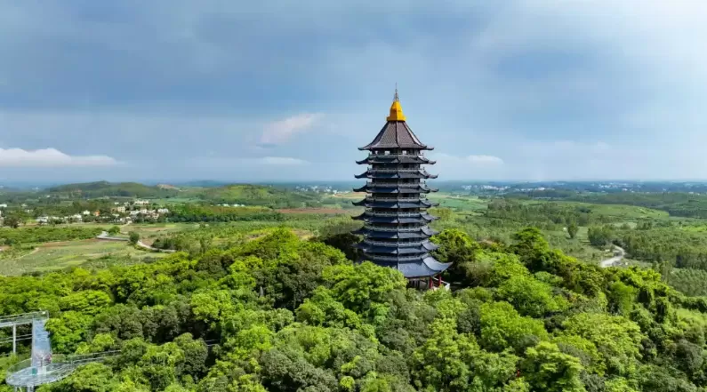 廉江荔枝出口20周年:签约超3亿元 全国每5颗出口荔枝有1颗姓“廉”(图2) 廉江荔枝出口20周年:签约超3亿元 全国每5颗出口荔枝有1颗姓“廉”(图2)