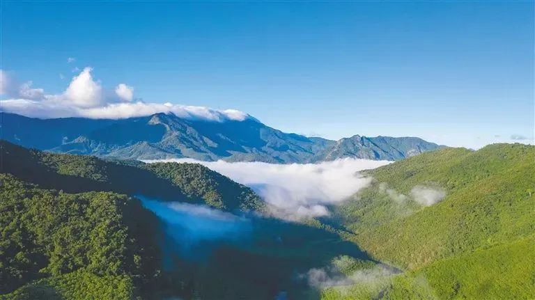 @所有女生，三八节霸王岭景区旅游优惠来啦，吸氧踏青走起