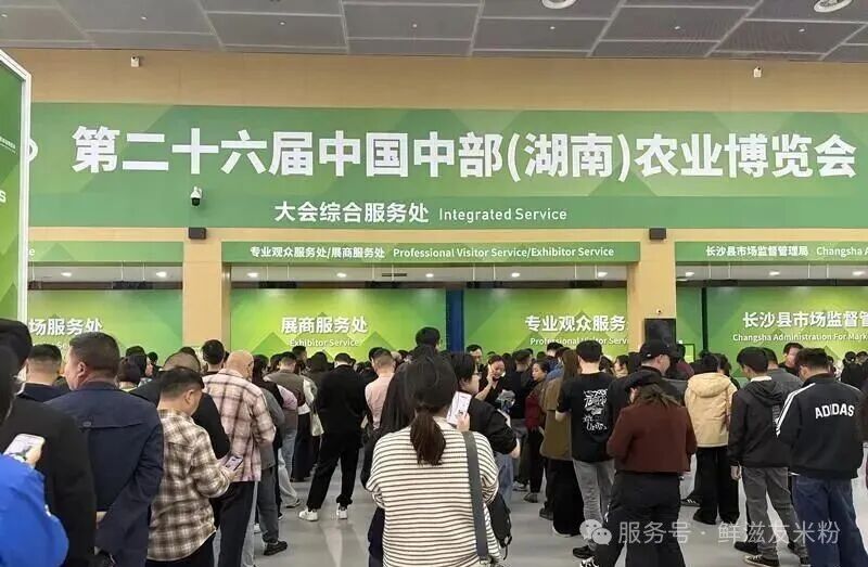 最“土”农博会上演最“潮”美食科技：“鲜滋友”常德米粉引爆星城，一碗乡愁“嗦”不停