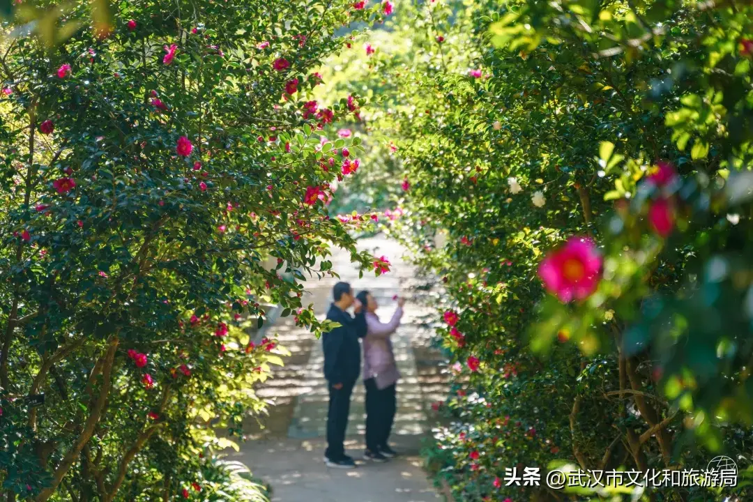 超贴心！东湖夕阳红指南上线