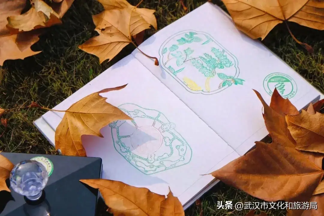 武汉植物园集章攻略来啦！10月最后一个周末就来这里