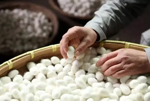 蚕丝被的制作过程