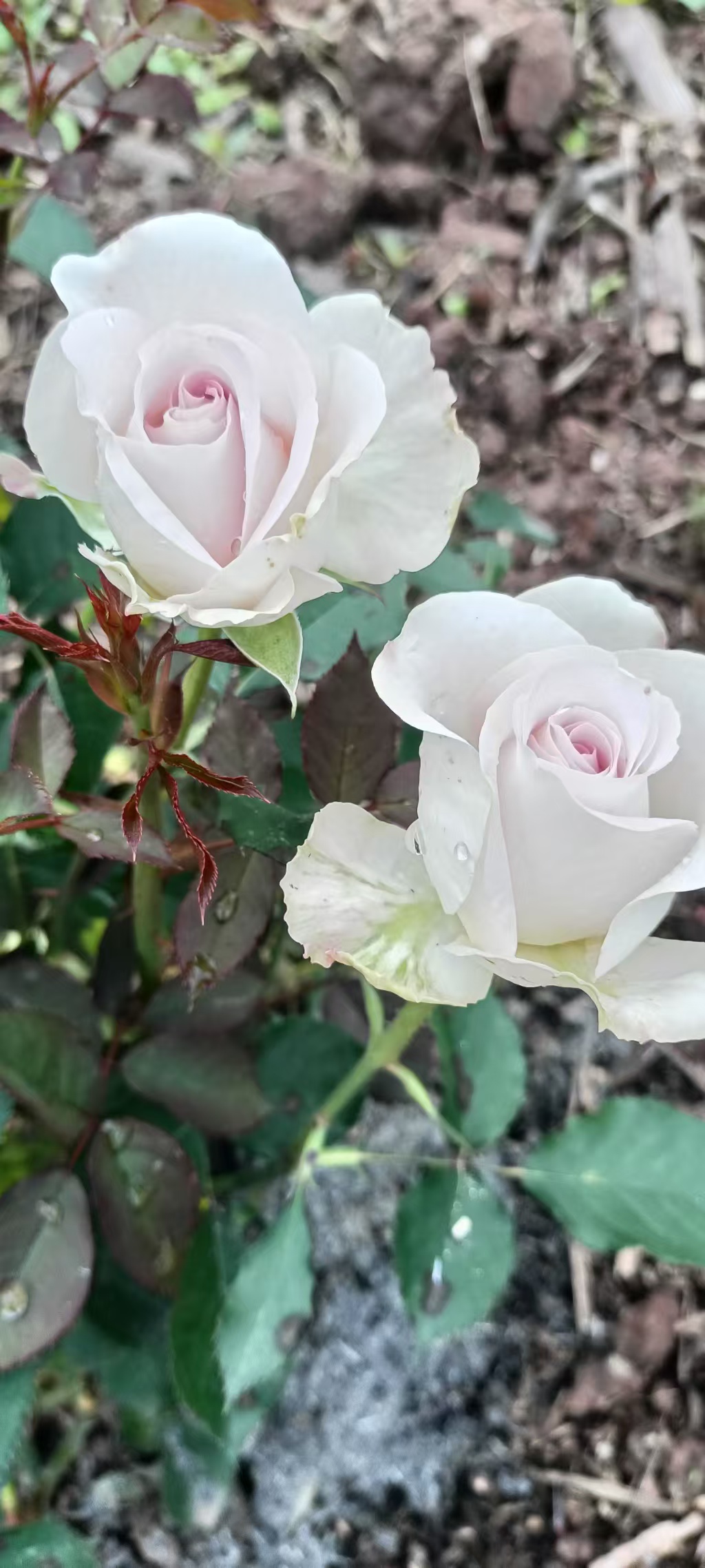 undefined