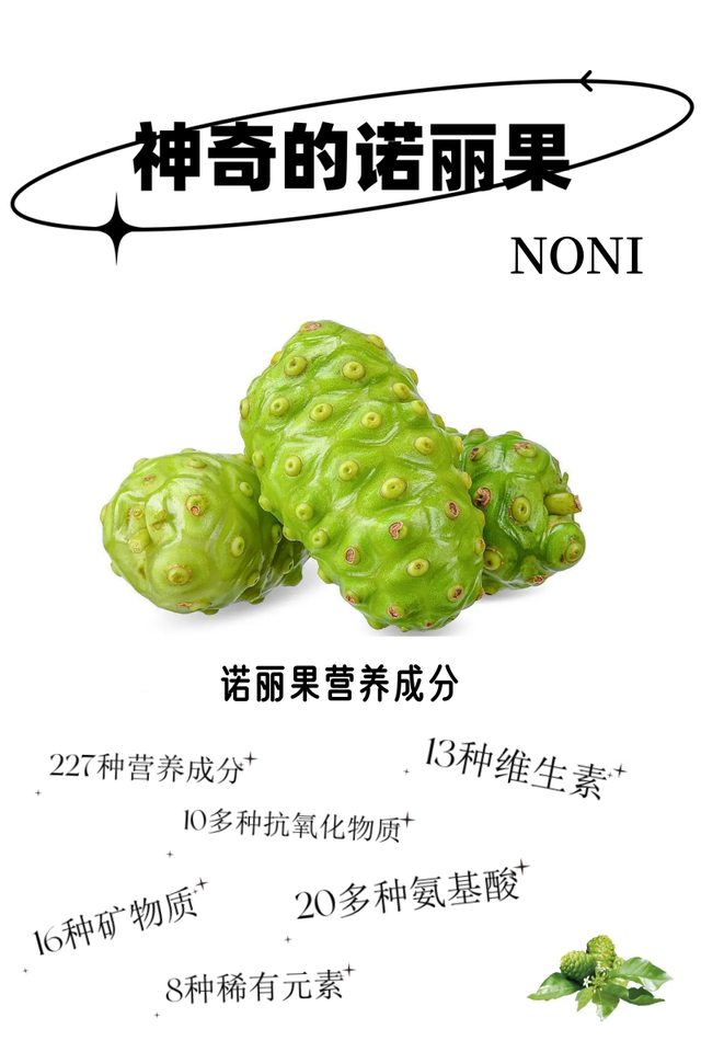 “大自然的恩赐”——诺丽果