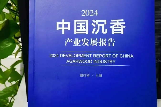 【连载】2024中国沉香产业发展报告第五章第三节 | 沉香种植业现存问题及发展前景（2）